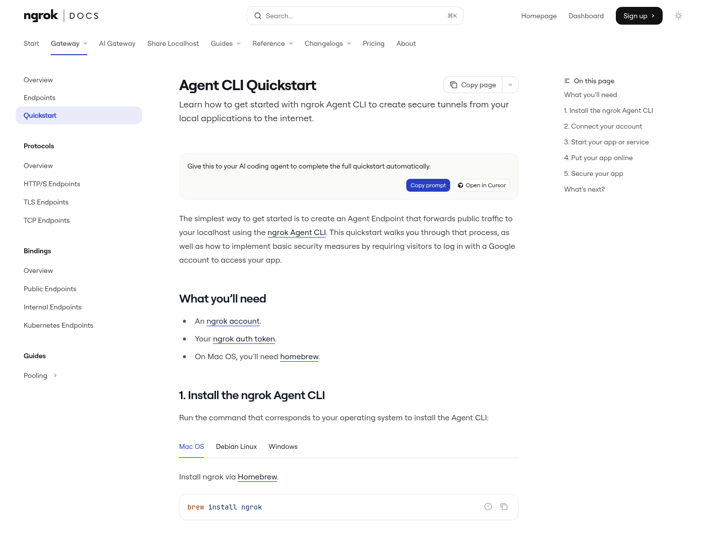 Screenshot dokumentasi resmi ngrok Getting Started untuk menjalankan ngrok Agent CLI.